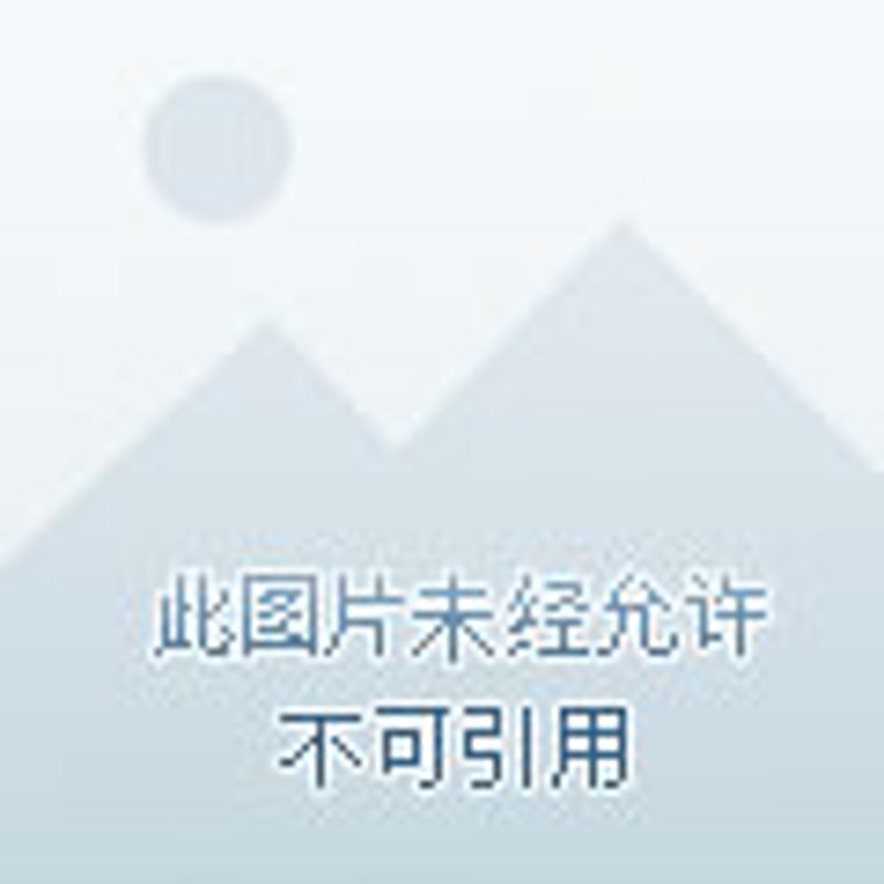 拥抱商贸繁荣：徐州商贸公司的发展之路